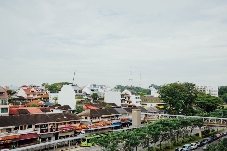 IKN Dibangun, Hutan Kalimantan Terancam? Ini Fakta di Balik Janji 'Forest City'