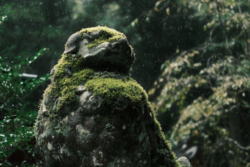 Di Balik Keajaiban Layar Lebar: Mengungkap Evolusi Teknologi CGI yang Mengubah Industri Film