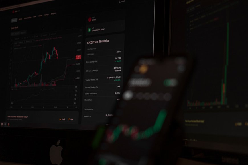 Bitcoin vs Altcoin di 2025: Siapa yang Akan Jadi Raja Kripto Sebenarnya? Ini Analisisnya!