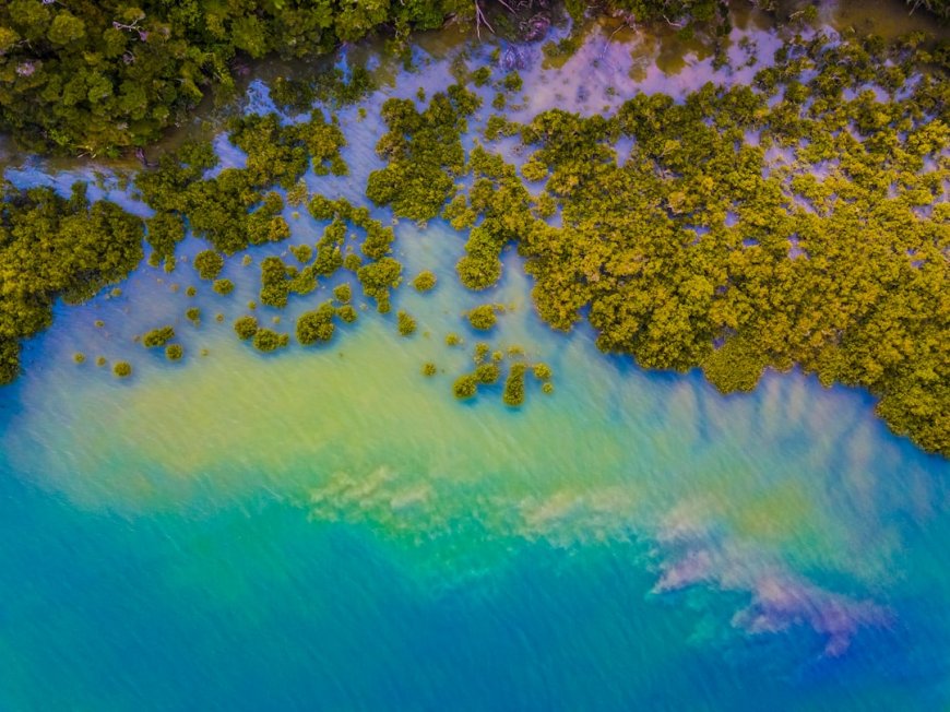 Pantai Tersembunyi Selatan Jawa untuk Petualangan Selancar Paling Liar