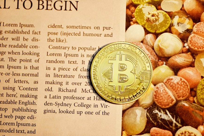Solana Tembus $200, Tapi Altcoin $SNORT Ini Bisa Beri Cuan 1000x Lipat?