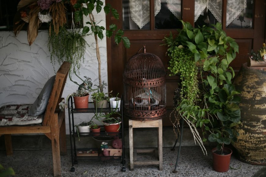 Menyelami Misteri Ritual dan Tradisi Angker Kota Oaxaca Meksiko