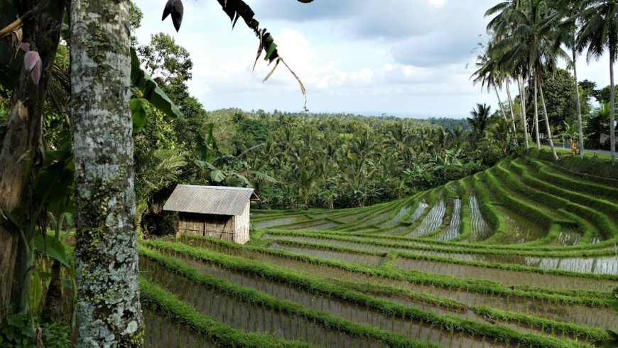 Bukan Sekadar Liburan: Bagaimana Ekowisata Membangun Ekonomi Desa dari Nol