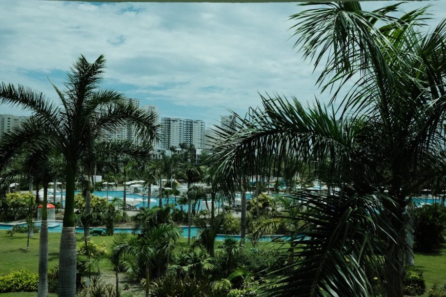 Liburan Anda Benar-Benar 'Hijau'? Bongkar Perbedaan Ekowisata, Wisata Alam, dan Jebakan Greenwashing