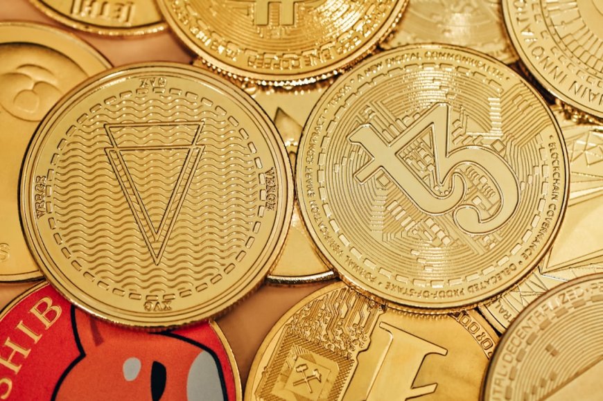 Bukan Cuma USDT: Panduan Lengkap 4 Jenis Stablecoin untuk Bertahan di Ganasnya Pasar Crypto