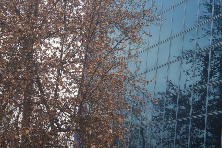 Apple Lawan Aturan Baru Inggris, Klaim Buruk Bagi Pengguna dan Developer