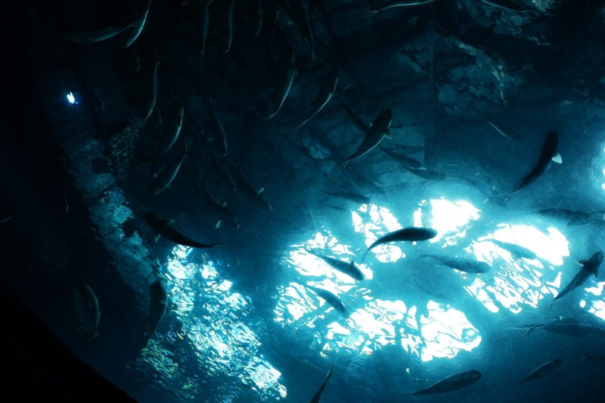 Atlantis Bukan Sekadar Mitos Ternyata Punya Teknologi Super Canggih