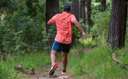 Temukan Sepatu Lari Sempurna Panduan Lengkap Anti Cedera Untukmu