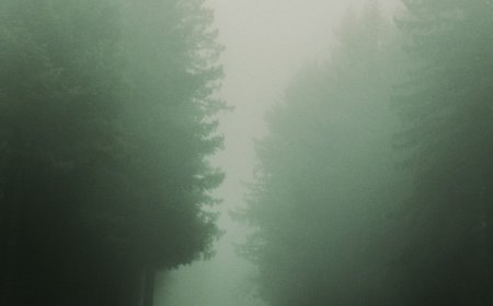 4 Kasus Orang Hilang Paling Misterius yang Menjadi Legenda Urban Modern