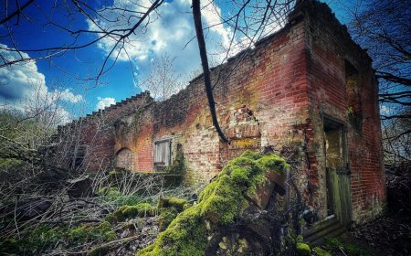 Kisah Poveglia Island Pulau Terlarang yang Menyimpan Tragedi Kelam Dunia