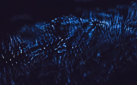 Bocoran Strategi Raksasa Cara Jitu Melacak Dompet Whale Crypto di Blockchain