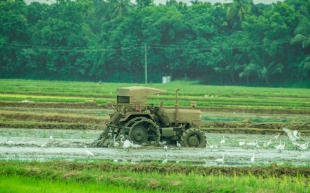 Drone di Sawah Bukan Gaya-gayaan Panen Padi Meroket 30 Persen di Jawa Barat