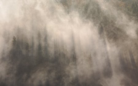 Bagaimana Mesin Uap dan Asap Pabrik di Inggris Mengubah Dunia Selamanya