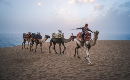 Mengungkap Rahasia Jalur Sutra Jaringan Global Pertama di Dunia