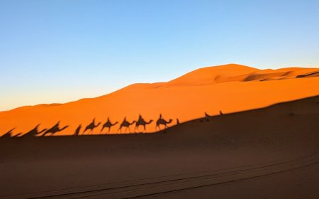 Jalur Sutra Bukan Sekadar Jalan Dagang Kuno Ini Jembatan Peradaban Dunia