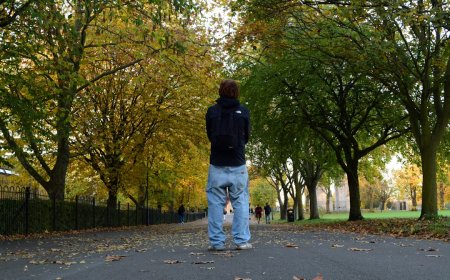 Rancang Hidup Impianmu Sekarang Juga, Rahasia Kompas Pribadi Terungkap