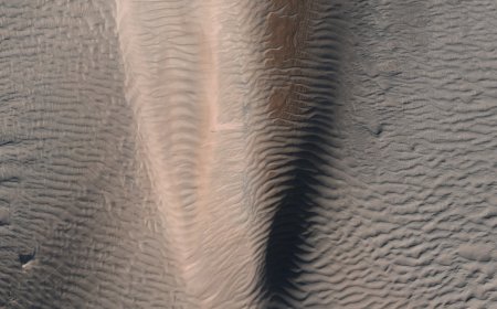Batu Mars Bikin Heboh Masa Depan Misi Pengembalian Sampel di Ujung Tanduk