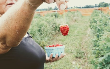 Robot Petani Kini Nyata Revolusi Teknologi Mengubah Cara Kita Makan