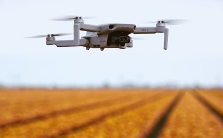 Lahan Pintar Bukan Lagi Mimpi AI dan Sensor IoT Mengubah Pertanian Selamanya