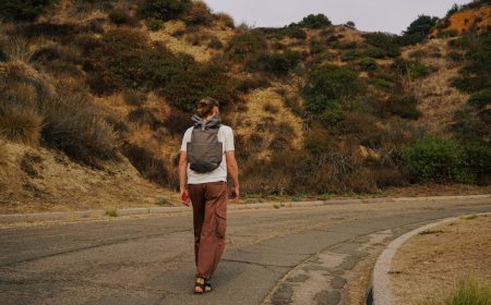 Menemukan Makna Kekayaan Sejati di Balik Ambisi Finansial Berlebihan