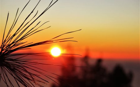 Kamu Wajib Tahu Perjalanan Sci-Fi Adam Scott Bintang Severance!