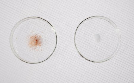 AMD Ryzen 7 7800X3D vs 9800X3D Mana Terbaik Pilihan Gaming Anda?