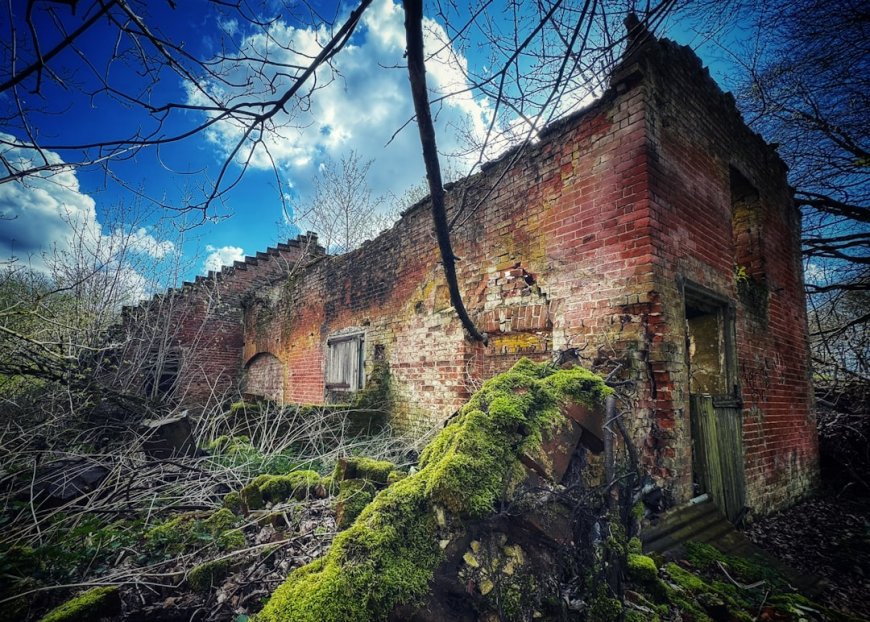 Kisah Poveglia Island Pulau Terlarang yang Menyimpan Tragedi Kelam Dunia