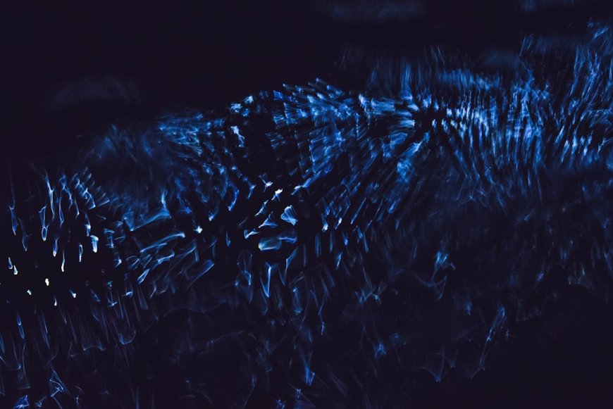 Bocoran Strategi Raksasa Cara Jitu Melacak Dompet Whale Crypto di Blockchain