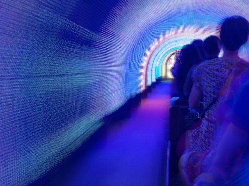 Para Whale Crypto Borong ENA BIO dan API3 Saatnya Kamu Ikutan?