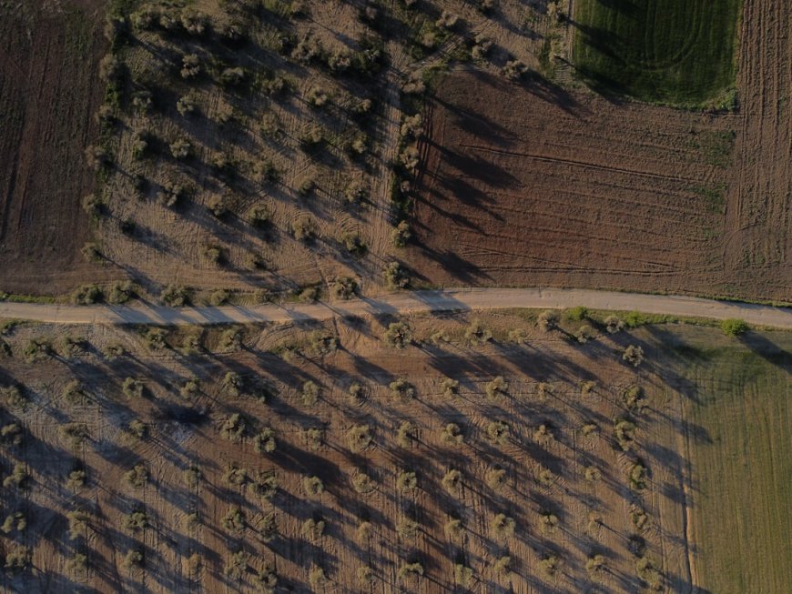 5 Drone Sprayer Terbaik 2024 Bikin Pertanian Jauh Lebih Canggih Efisien