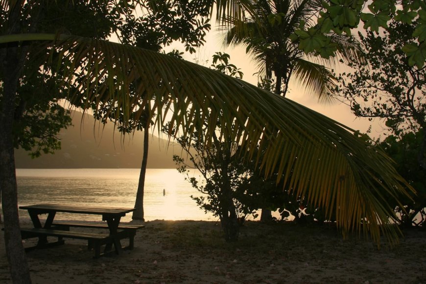 Bukan Cuma Foto Walakiri Camping Guide Anti Mainstream di Sumba