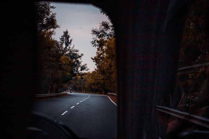 Siap Road Trip Bareng Anjingmu Ini Destinasi Pet-Friendly Jawa Barat