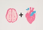 Rahasia Mood Bahagia? Kesehatan Ususmu Kunci Produksi Serotonin Dopamin!