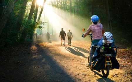 BowFlex IC SE vs Peloton Mana Sepeda Pintar Lebih Worth It