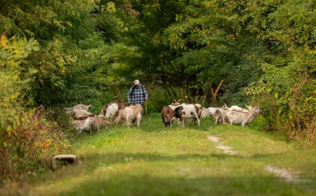 Bongkar Mitos Sukses Finansial Ambisius Ada Jalan Lain Menuju Kebebasan