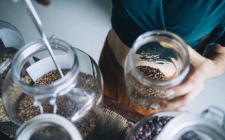Mulailah Hidup Zero Waste di Kota Ini 5 Langkah Mudah Untukmu