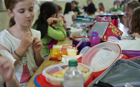 Ancaman Tersembunyi di Piring Makan Sekolah Wajib Tahu Ini!