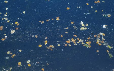 Terungkap! AI dan Satelit Bongkar Sarang Sampah Ilegal dari Angkasa