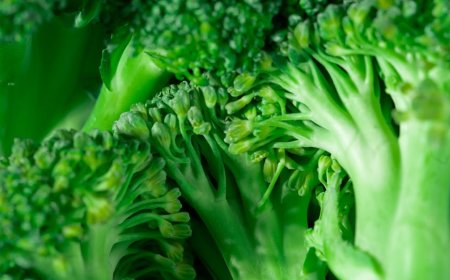 Detoks Tubuh Alami: Pahami Mitos dan Faktanya untuk Kesehatan Optimal