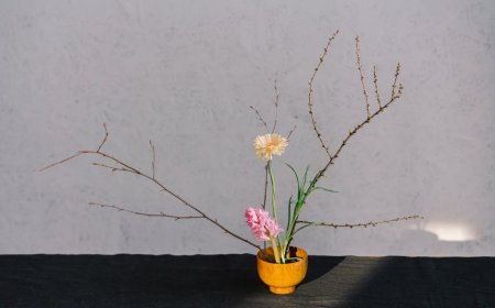 Rahasia Biohacking Sederhana Tingkatkan Energi dan Kesejahteraan Optimal Tubuhmu