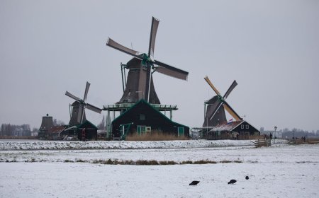 Black Death, Wabah Maut Yang Mengubah Tatanan Sosial Ekonomi Eropa