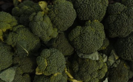 Makanan Anti Inflamasi Terbaik Kurangi Peradangan Kronis