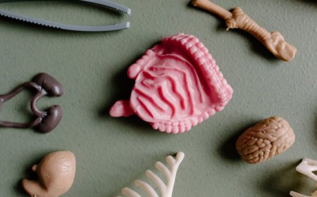 Memahami Peran Biologi dalam Skizofrenia dan Bipolar