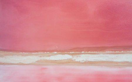 Amazon Lanjutkan Pengiriman Drone Setelah Insiden di Arizona