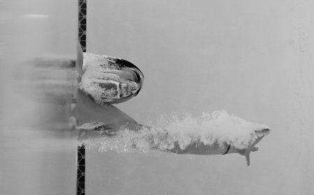 Manfaat Latihan HIIT untuk Performa Atlet Renang