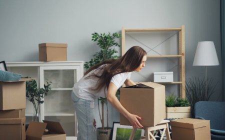 Cara Memilih Tanaman Hias untuk Udara Rumah Lebih Segar