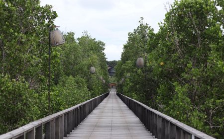 Panduan Memilih Hotel Ramah Lingkungan di Indonesia