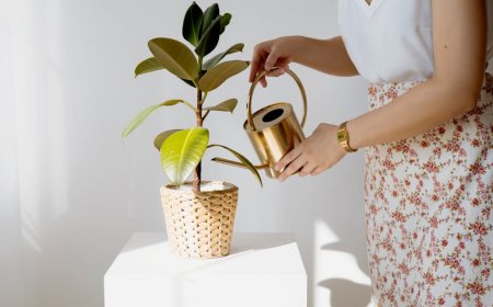 7 Tanaman Hias Minim Perawatan untuk Mempercantik Rumahmu