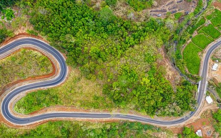 Panduan Seru Aktivitas Anak Saat Road Trip Jarak Jauh di Indonesia