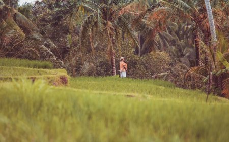 Masa Depan Biodiesel Indonesia: Kenapa Larangan EU Bikin Petani Sawit Merana